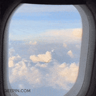 SecureTravel Gear