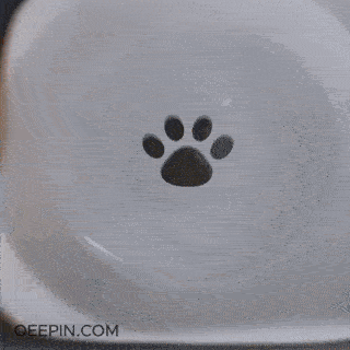 FloatFresh Pet Bowl