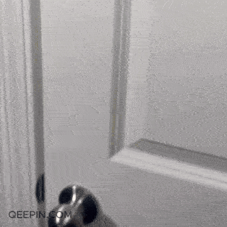 SecureStride