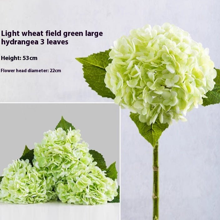 BloomEver Botanicals - Qeepin