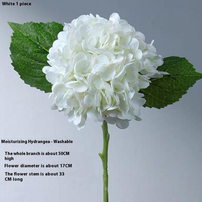 BloomEver Botanicals - Qeepin