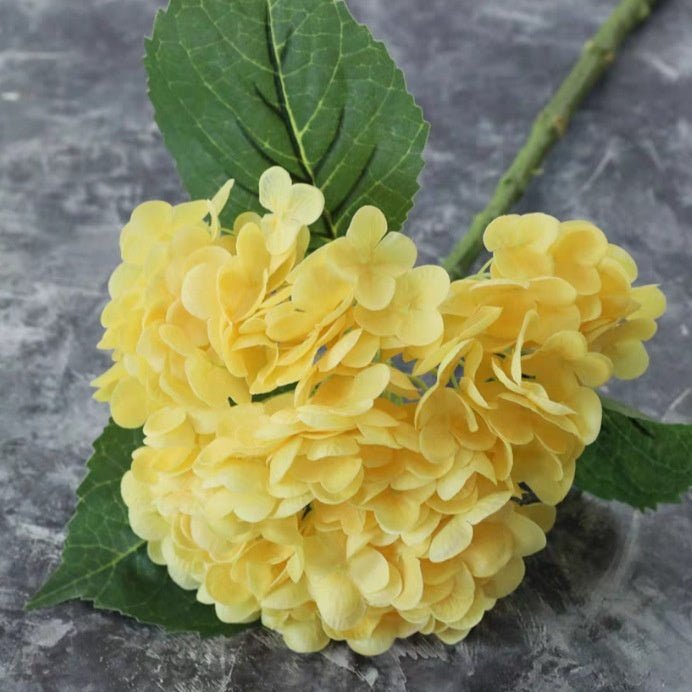 BloomEver Botanicals - Qeepin