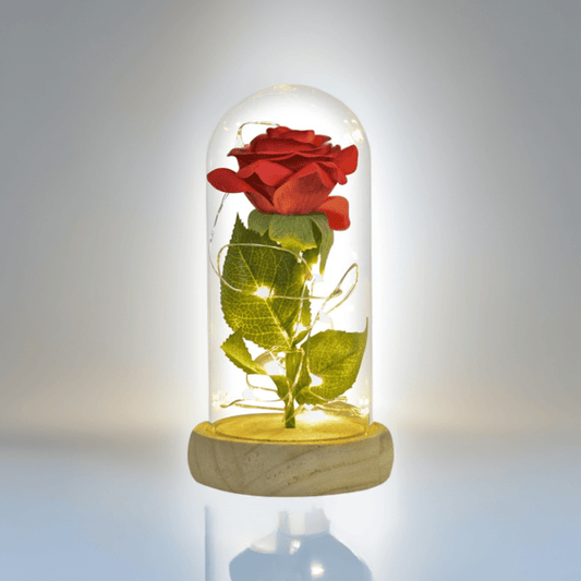 Enchanted Red Silk Rose in Glass Dome - Qeepin