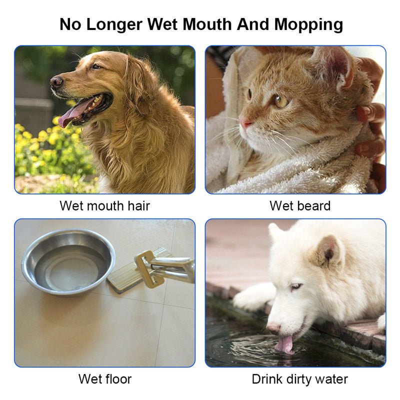 FloatFresh Pet Bowl - Qeepin