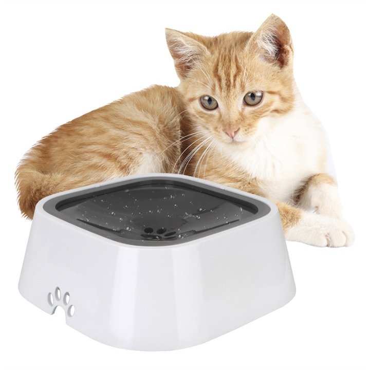 FloatFresh Pet Bowl - Qeepin