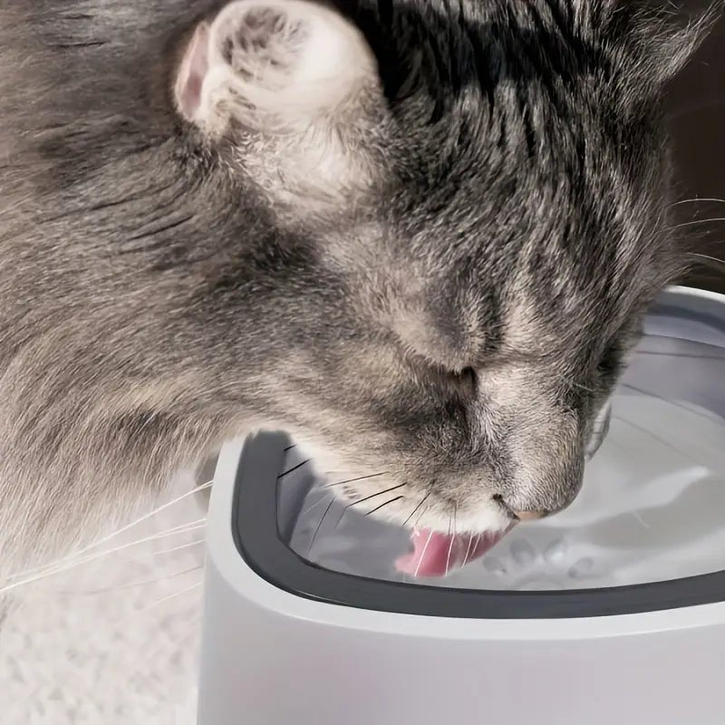 FloatFresh Pet Bowl - Qeepin