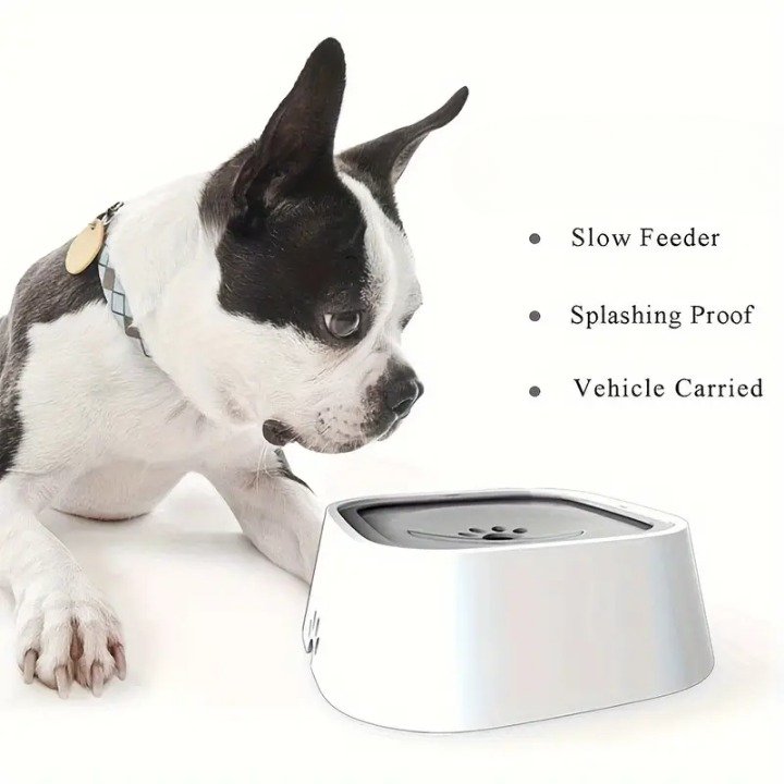 FloatFresh Pet Bowl - Qeepin