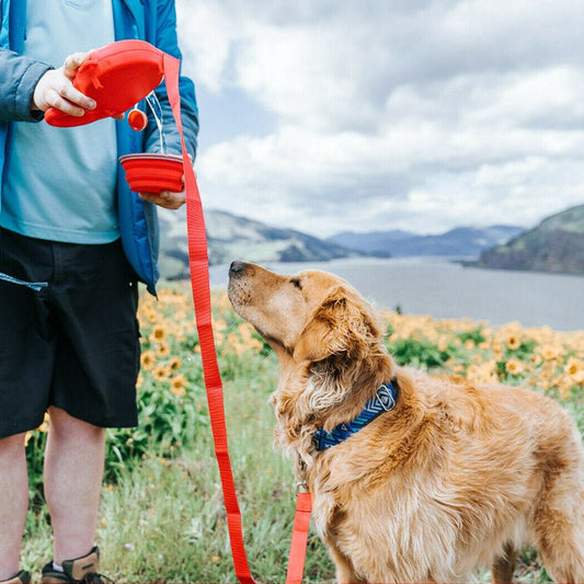 Paws Walking Buddy - Qeepin