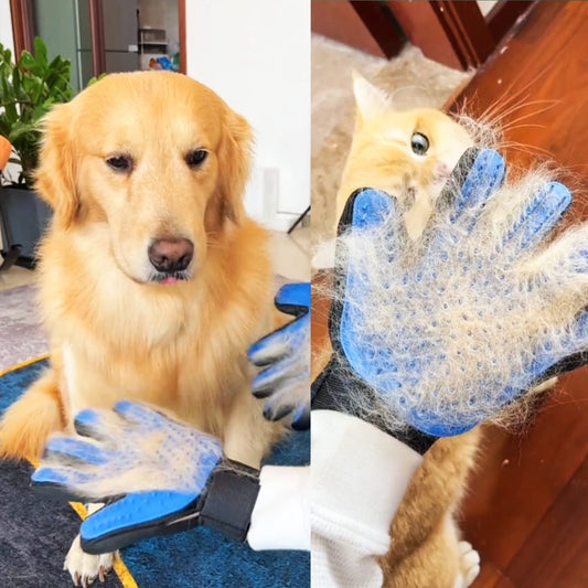 Pets SoftTouch Groomer Glove - Qeepin