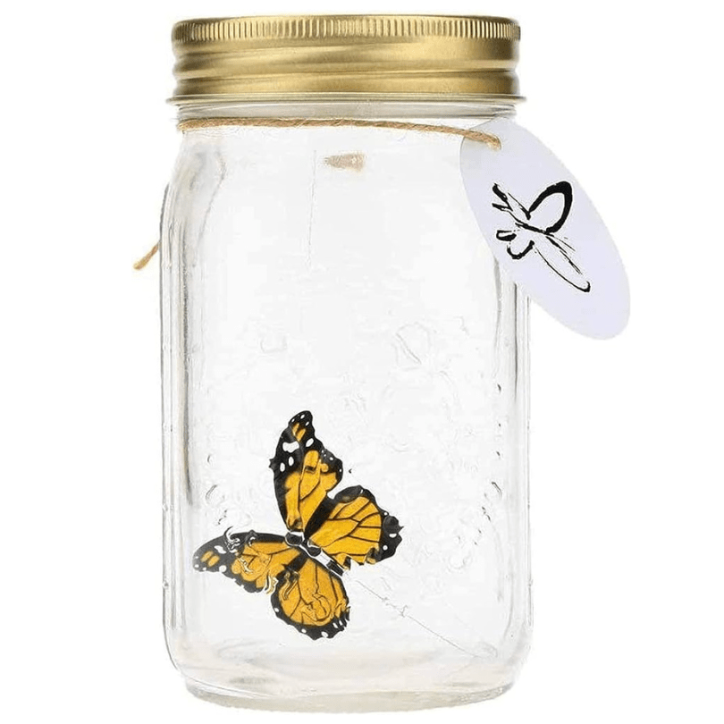 Premium Quality Realistic Butterfly in a Jar 🦋 - Qeepin