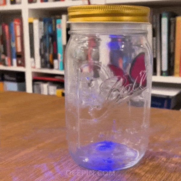 Premium Quality Realistic Butterfly in a Jar 🦋 - Qeepin