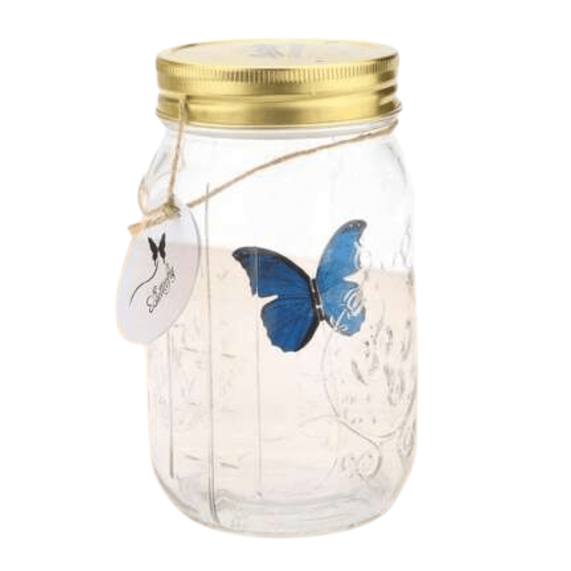 Premium Quality Realistic Butterfly in a Jar 🦋 - Qeepin