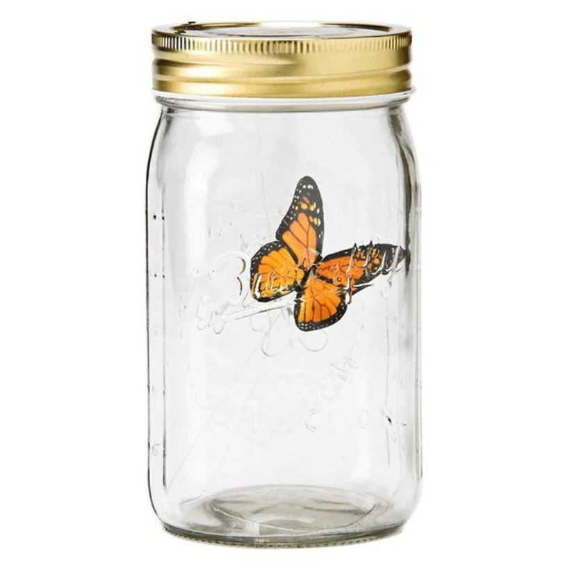 Premium Quality Realistic Butterfly in a Jar 🦋 - Qeepin