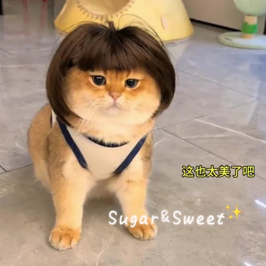 Funny Pet Wig - Cute Bob Cut Hair Accessories for Dogs and Cats Cosplay