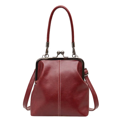 Luxury Vintage Kiss Lock Bag