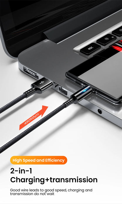 Short 0.25M USB Type-C & Micro USB Fast Charging Cable for Power Banks