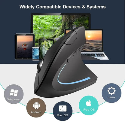 Wireless Ergonomic Vertical Mouse - 2.4GHz Optical Mouse with 3 Adjustable DPI