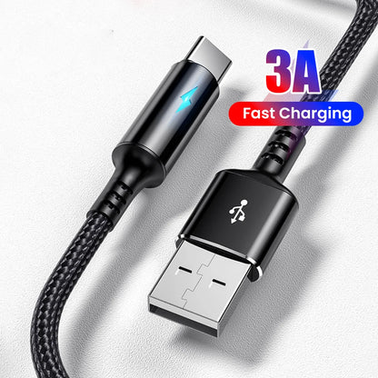 Short 0.25M USB Type-C & Micro USB Fast Charging Cable for Power Banks