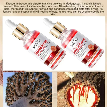 Dragon Blood Anti-Aging Facial Serum for Firming and Wrinkle Reduction