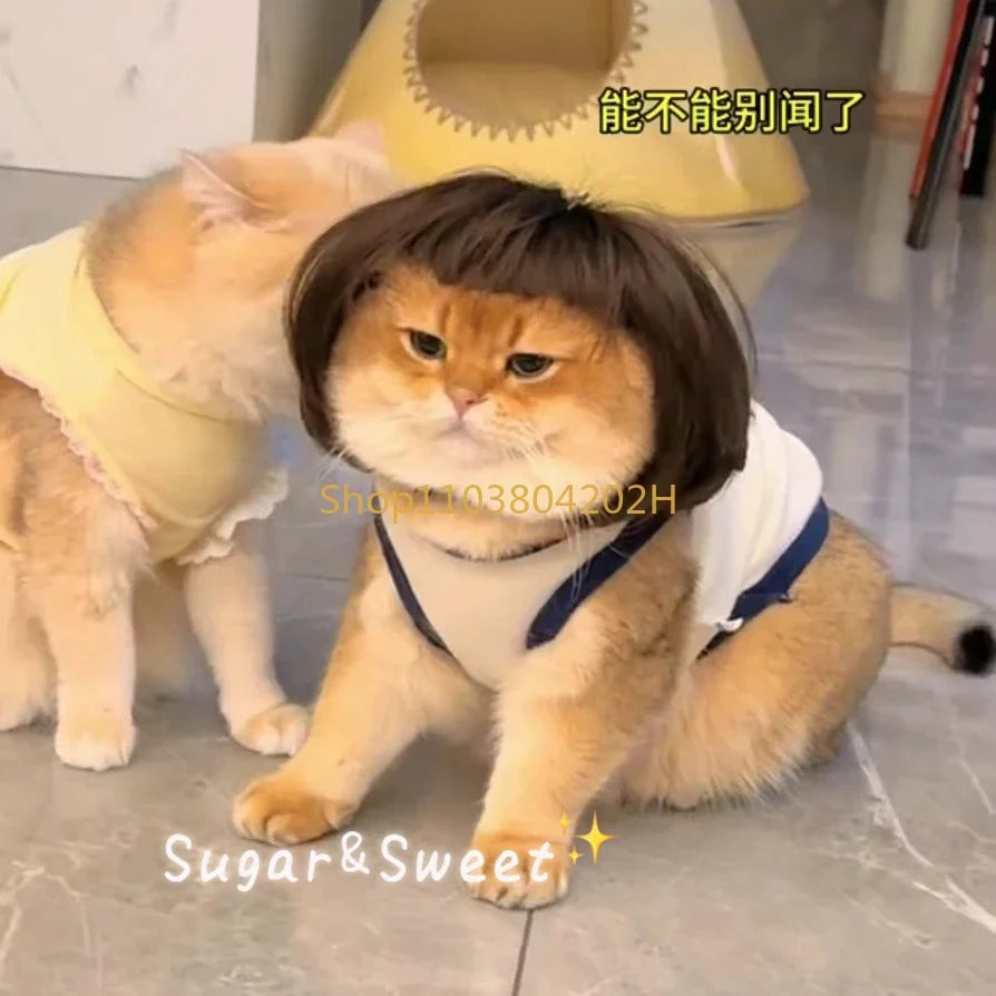 Funny Pet Wig - Cute Bob Cut Hair Accessories for Dogs and Cats Cosplay