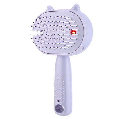 Electric Mist Spray Scalp Massager & Detangling Hair Brush with LED Light