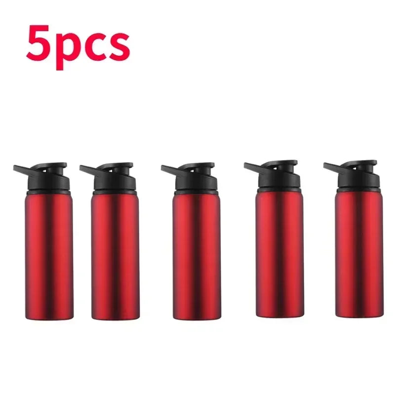 Portable Stainless Steel Sports Water Bottle - 700ml Leak-Proof Flask - 31