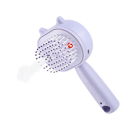 Electric Mist Spray Scalp Massager & Detangling Hair Brush with LED Light