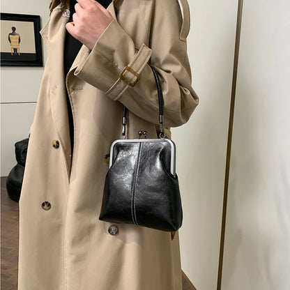 Luxury Vintage Kiss Lock Bag