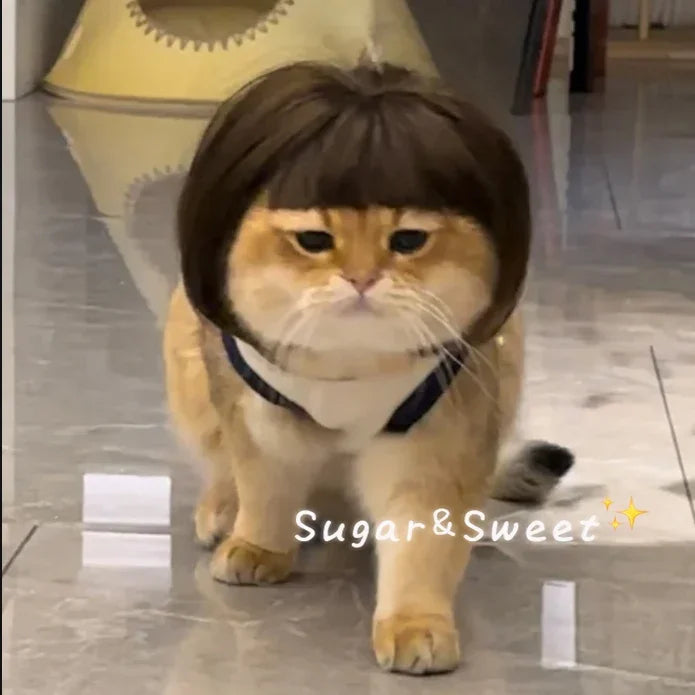 Funny Pet Wig - Cute Bob Cut Hair Accessories for Dogs and Cats Cosplay