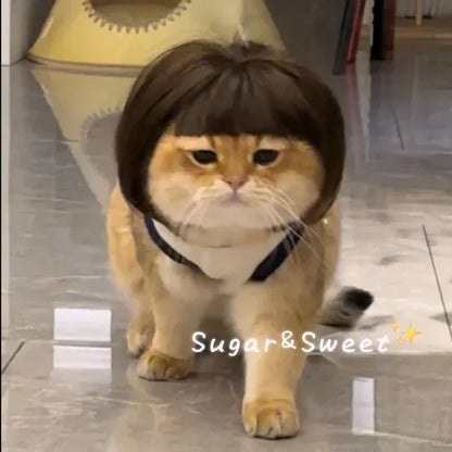 Funny Pet Wig - Cute Bob Cut Hair Accessories for Dogs and Cats Cosplay