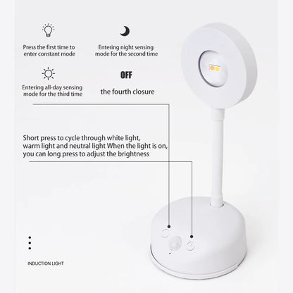Wireless Rechargeable LED Spotlight - Motion Sensor Dimmable Wall Light for Art & Display