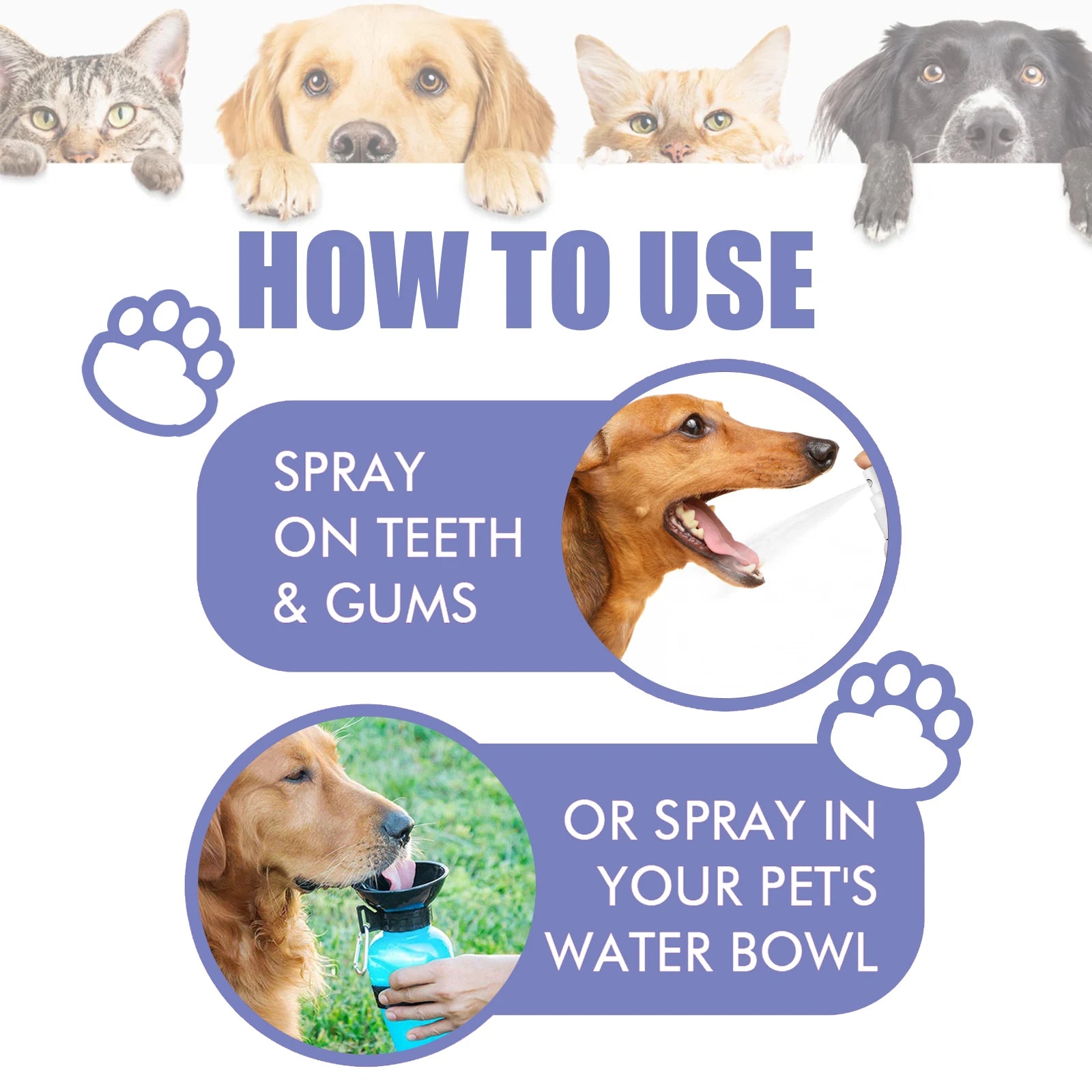Pet Dental Oral Care Spray for Dogs and Cats - Fresh Breath & Teeth Cleaning - 12