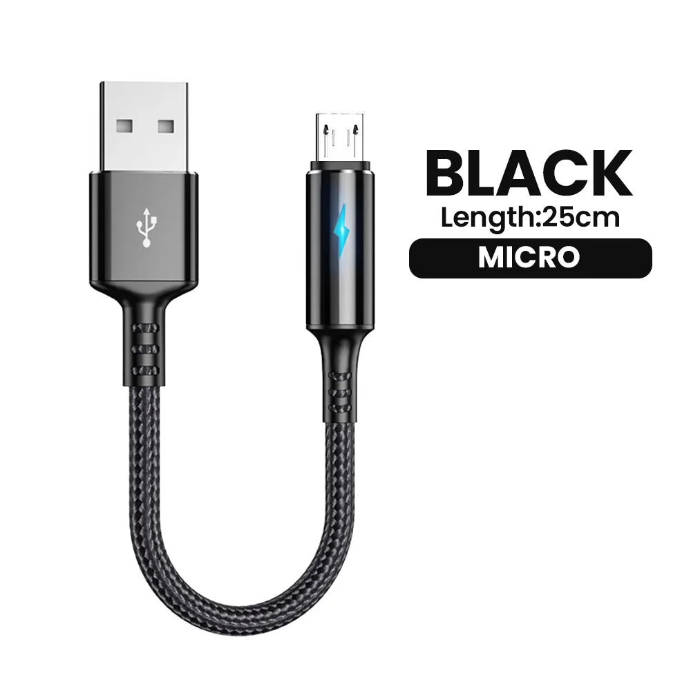 Short 0.25M USB Type-C & Micro USB Fast Charging Cable for Power Banks - 19