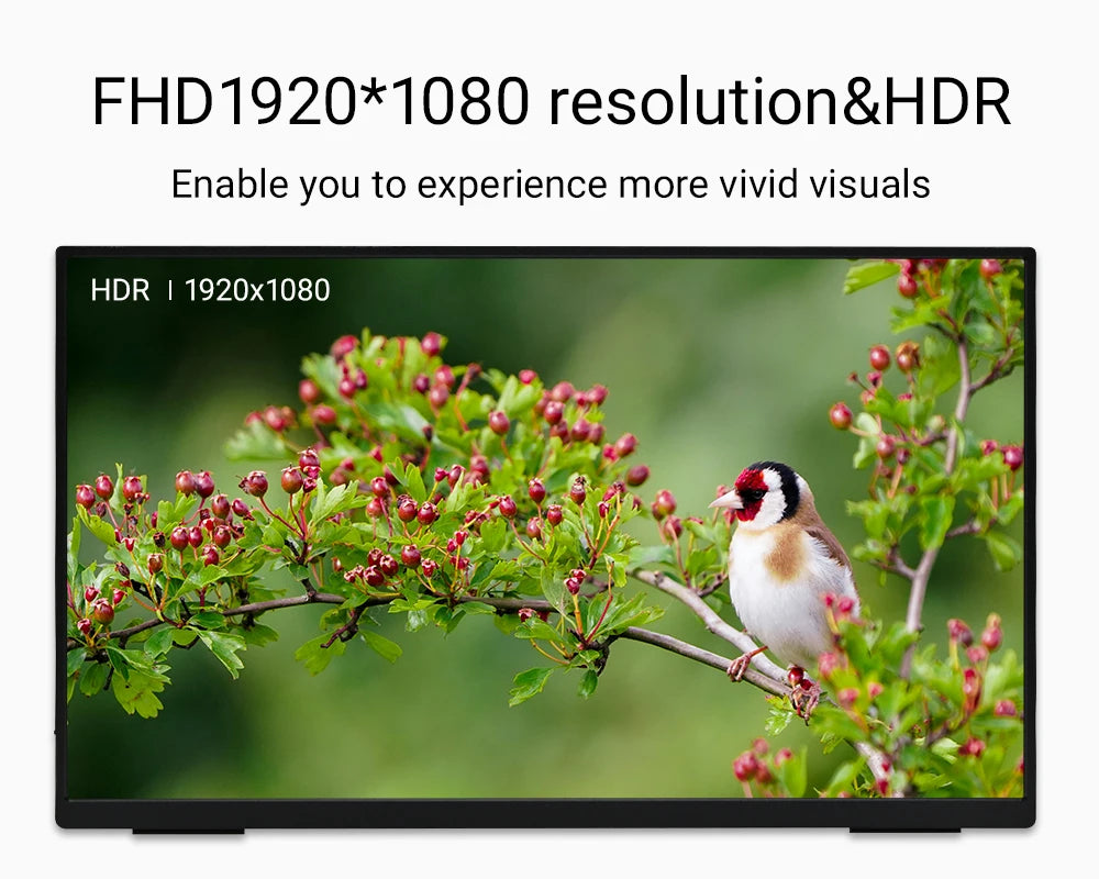 18-Inch 100Hz Portable Monitor 1080P FHD HDR IPS Travel Display - 4