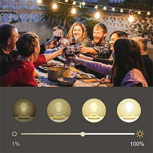 Smart WiFi Outdoor Dimmer Plug with Remote for String Lights