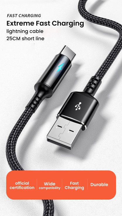 Short 0.25M USB Type-C & Micro USB Fast Charging Cable for Power Banks