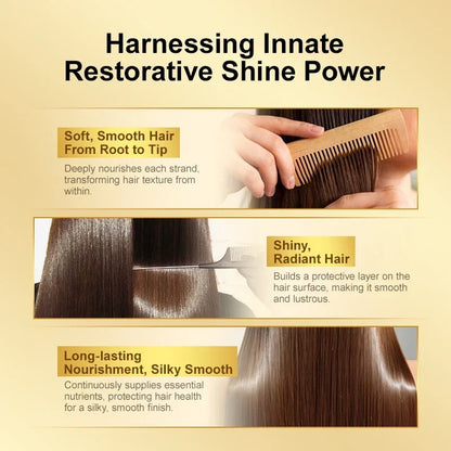 Morocco Amino Acid Hair Oil - Smoothing & Frizz Control Serum for Damaged Hair