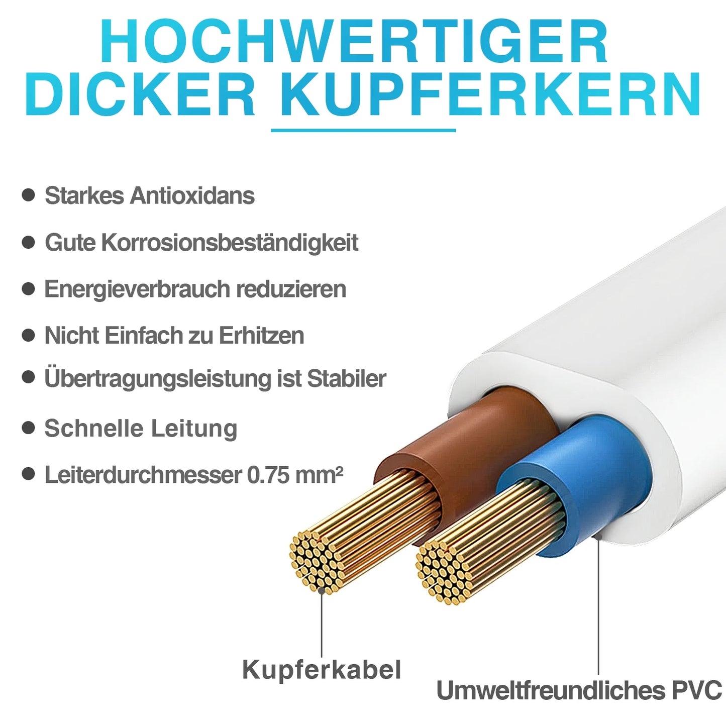 2pcs 1m Euro Plug Power Extension Cable - High-Quality 2.5A/250V Cord