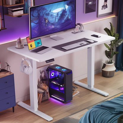 63" Electric Standing Desk - Ergonomic Adjustable Sit-Stand Office Table