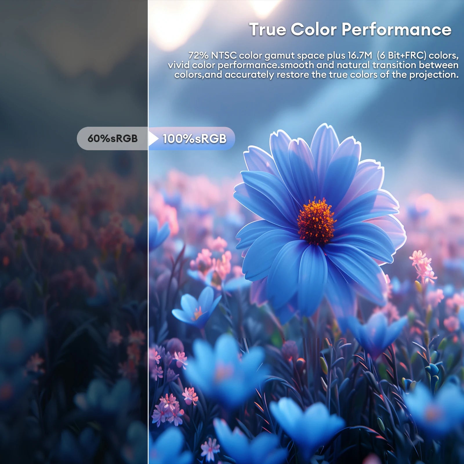 15.6" Full HD Ultra-Slim Portable Monitor - 100% sRGB HDR10 Display - 3
