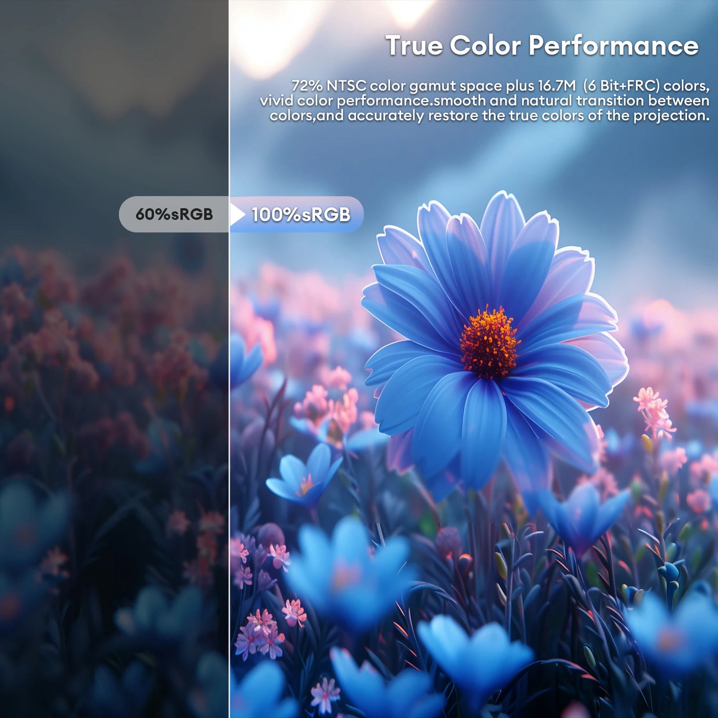 15.6" Full HD Ultra-Slim Portable Monitor - 100% sRGB HDR10 Display
