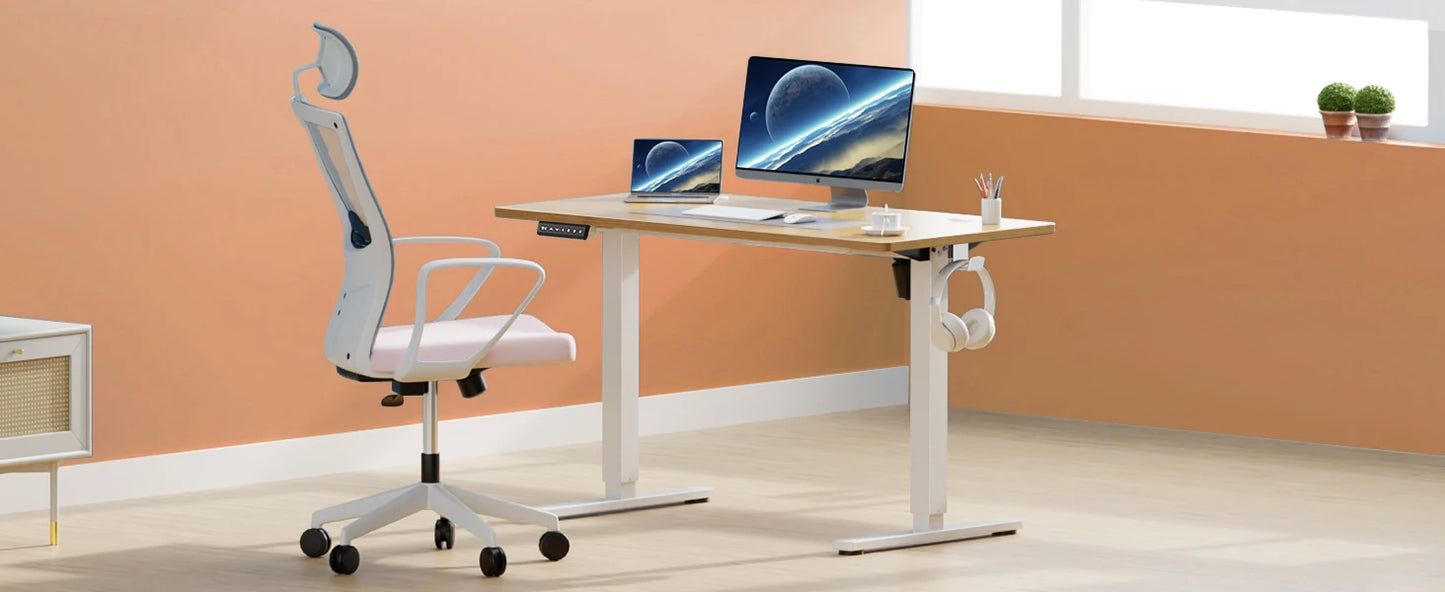 Electric Standing Desk 40x24 Height Adjustable Sit-Stand Computer Table
