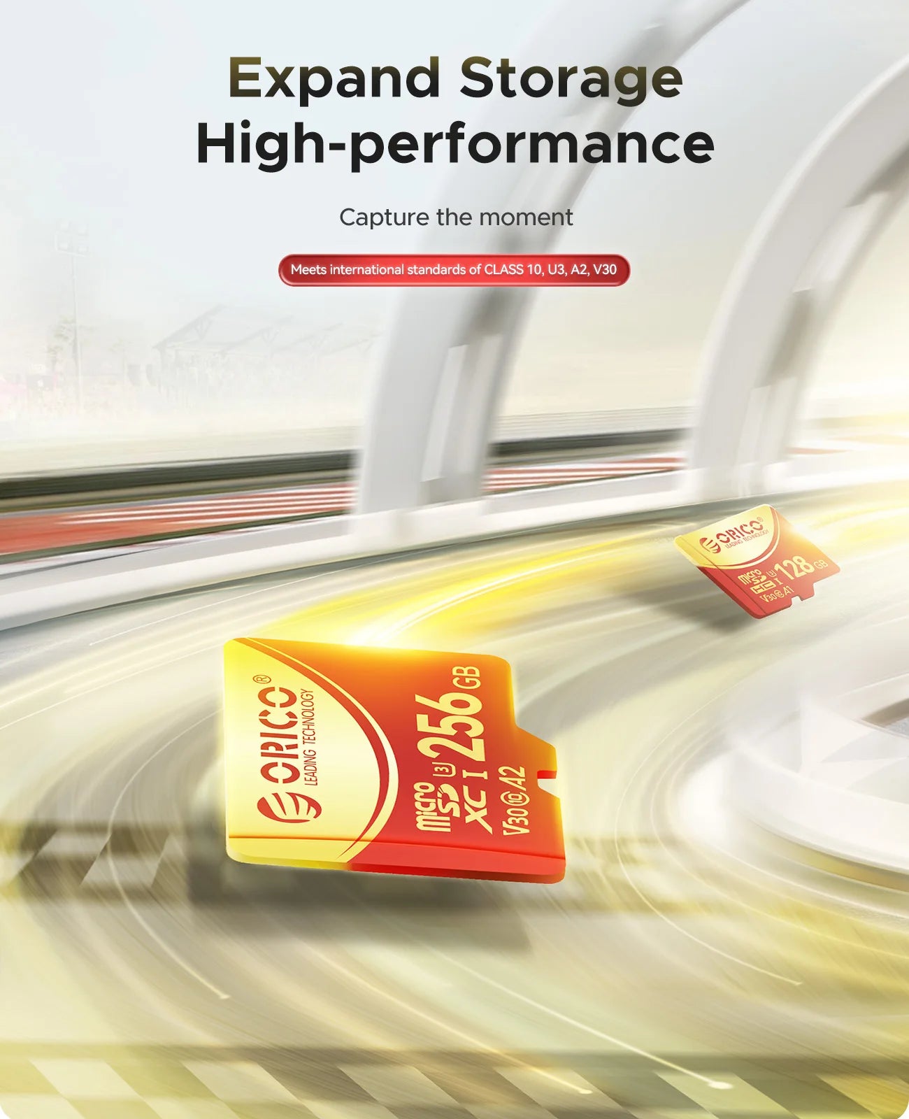 2-Pack High-Speed microSDXC UHS-I Memory Card - 4K UHD Recording, A1, V30 - 8
