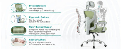 Ergonomic High-Back Mesh Office Chair with Footrest & Lumbar Support