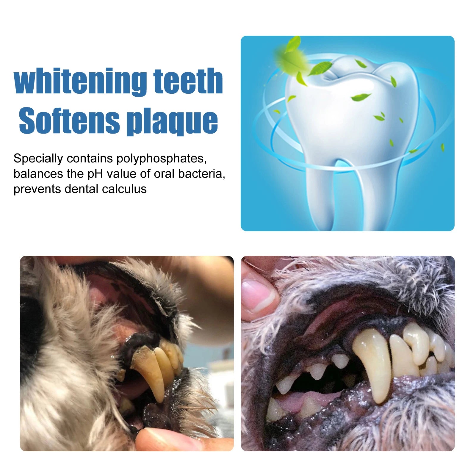 Dog Oral Dental Foam Cleaner - Tartar Plaque Remover & Teeth Whitening - 11