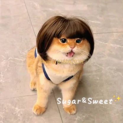 Funny Pet Wig - Cute Bob Cut Hair Accessories for Dogs and Cats Cosplay