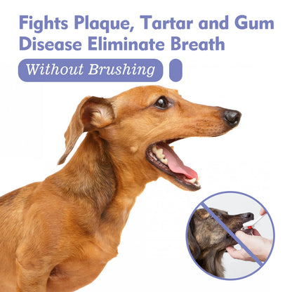 Pet Dental Oral Care Spray for Dogs and Cats - Fresh Breath & Teeth Cleaning