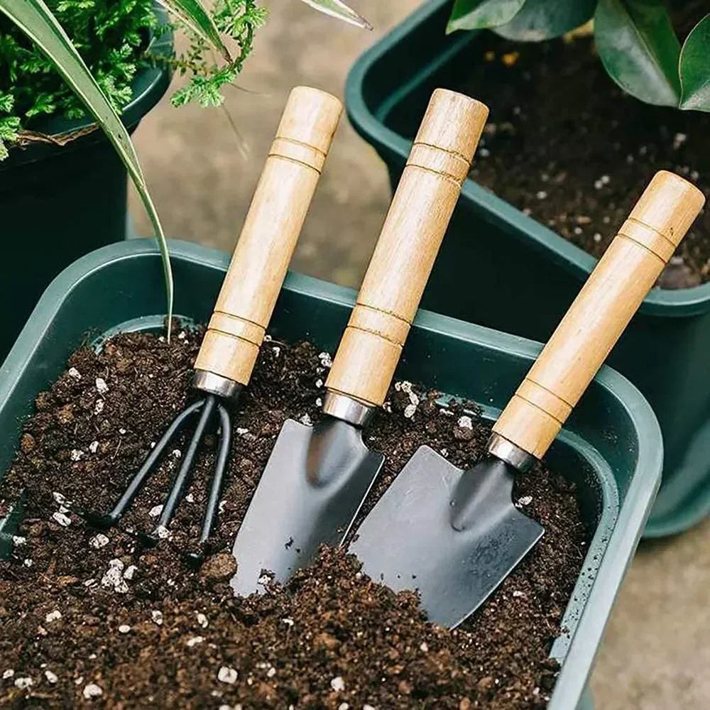 3-Piece Mini Garden Tool Set for Indoor Plants - Small Trowel, Shovel & Rake for Succulents - 1