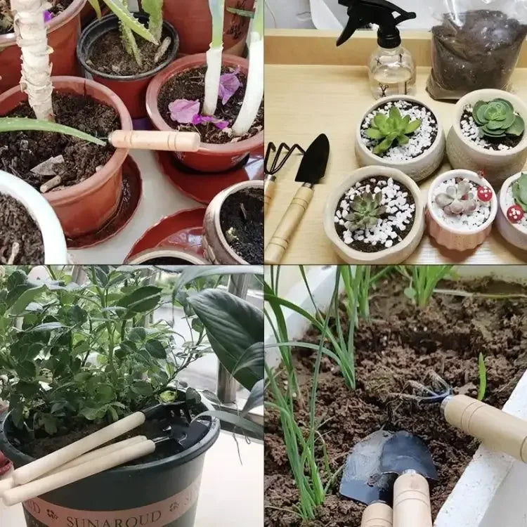 3-Piece Mini Garden Tool Set for Indoor Plants - Small Trowel, Shovel & Rake for Succulents