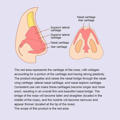 Electric EMS Nose Sculpting Massager & Lifting Clip
